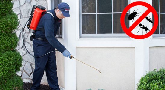 Fındıklı Dezenfeksiyon böcek ilaçlama ve haşere kontrolü — ilaclama-tr.com
